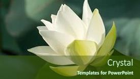  Presentation with white lotus flower - Slide deck enhanced with white lotus flower in pond background and a tawny brown colored foreground