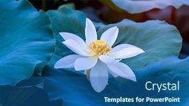  Presentation with white lotus flower - Slides featuring white-lotus-flower-in-pond background and a ocean colored foreground