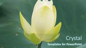  Presentation with white lotus flower - Colorful theme enhanced with white lotus flower in pond backdrop and a ocean colored foreground