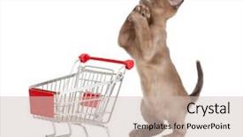  Presentation with cat - PPT theme consisting of white marron - funny cat with shopping cart background and a soft green colored foreground