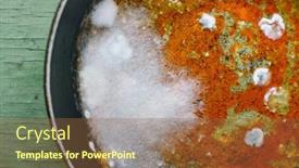 Presentation with mold - PPT theme featuring white-mold-on-a-dirty background and a tawny brown colored foreground