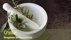  Presentation with oregano - PPT theme having sage over marbled slate background background and a tawny brown colored foreground