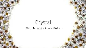  Presentation with white flower frame - Amazing theme having white-nature-chamomile-flower-background backdrop and a white colored foreground