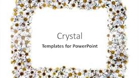  Presentation with white flower frame - Beautiful presentation theme featuring white-nature-chamomile-flower-background backdrop and a white colored foreground
