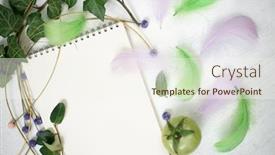  Presentation with white sheet - Audience pleasing slide deck consisting of white-notepad-sheet-ivy-branch backdrop and a cream colored foreground