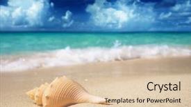  Presentation with seashell - PPT layouts featuring white ocean - seashell on the beach shallow background and a lemonade colored foreground