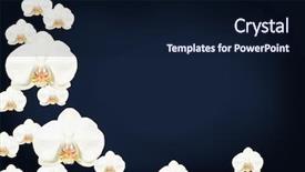  Presentation with navy blue - Colorful PPT theme enhanced with white orchid border - navy blue backdrop and a  colored foreground