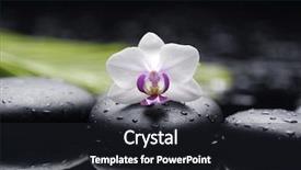  Presentation with zen stone - Slide deck enhanced with white orchid with palm leaf background and a  colored foreground