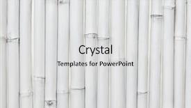  Presentation with asian bamboo - Beautiful slide deck featuring white painted bamboo wall texture backdrop and a light gray colored foreground