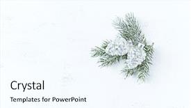  Presentation with vintage christmas - Amazing presentation theme having white painted wooden background backdrop and a cool aqua colored foreground