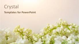  Presentation with wedding invitation card - Presentation featuring white-paper-background-with-closeup background and a cream colored foreground