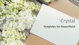  Presentation with white flowers - Theme consisting of white-paper-card-with-closeup background and a white colored foreground