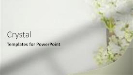  Presentation with white flowers - Presentation theme enhanced with white-paper-card-with-closeup background and a light gray colored foreground