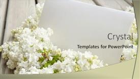  Presentation with white flowers - PPT theme enhanced with white-paper-card-with-closeup background and a soft green colored foreground