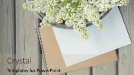  Presentation with white flowers - PPT theme having white-paper-card-with-closeup background and a mint green colored foreground
