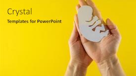  Presentation with embryo - Theme having white-paper-embryo-silhouette background and a gold colored foreground