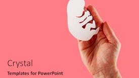  Presentation with embryo - Audience pleasing PPT layouts consisting of white-paper-embryo-silhouette backdrop and a gray colored foreground