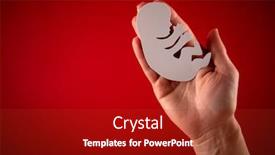  Presentation with embryo - PPT layouts with white-paper-embryo-silhouette background and a crimson colored foreground