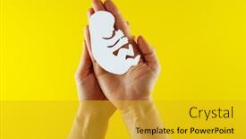  Presentation with embryo - Colorful slide deck enhanced with white-paper-embryo-silhouette backdrop and a gold colored foreground