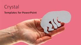  Presentation with embryo - Cool new presentation theme with white-paper-embryo-silhouette backdrop and a coral colored foreground