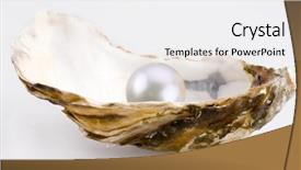  Presentation with pearl oyster - Slides having white pearl is background and a white colored foreground