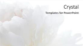  Presentation with peony - Audience pleasing PPT layouts consisting of white peony backdrop and a white colored foreground