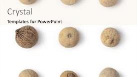  Presentation with white - Amazing theme having white-peppercorn-isolated-on-white backdrop and a lemonade colored foreground