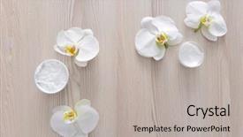  Presentation with spa concept - Presentation theme enhanced with white phalaenopsis orchid flower background and a light gray colored foreground