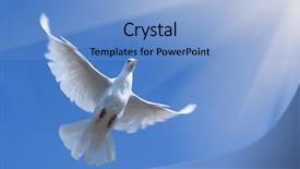  Presentation with white dove - Presentation theme with white pigeon against the blue background and a light blue colored foreground