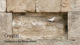  Presentation with jerusalem - Cool new slide set with white pigeon on wailing wall backdrop and a coral colored foreground