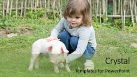  Presentation with pig farm - Slide deck consisting of white piglet in girls hands background and a seafoam green colored foreground