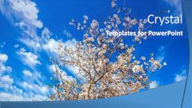  Presentation with oil production - Beautiful slide deck featuring white-pink-olive-tree-flowers backdrop and a teal colored foreground