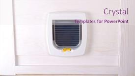  Presentation with cat - Theme consisting of white-plastic-cat-door-enterance background and a sky blue colored foreground