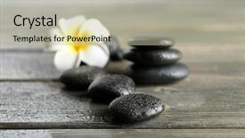  Presentation with plumeria - Audience pleasing PPT theme consisting of white plumeria flower with pebbles on wooden table backdrop and a mint green colored foreground