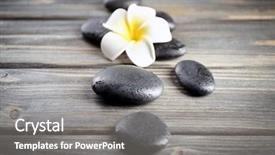  Presentation with plumeria - PPT theme having white plumeria flower with pebbles on wooden background background and a gray colored foreground