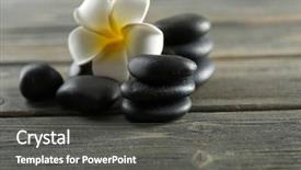  Presentation with plumeria - Cool new PPT theme with white plumeria flower with pebbles on wooden background backdrop and a dark gray colored foreground