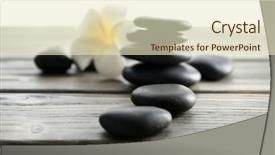  Presentation with plumeria - Theme featuring white plumeria flower with pebbles on wooden table background and a soft green colored foreground