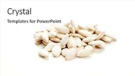  Presentation with seed - Audience pleasing PPT theme consisting of white pumpkin seed on a white background backdrop and a white colored foreground