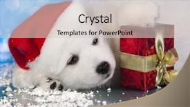  Presentation with isolated paw prints over white - PPT theme consisting of white puppy with a gift background and a lemonade colored foreground