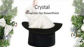  Presentation with black magic - PPT theme consisting of white rabbit at black hat background and a white colored foreground