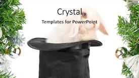  Presentation with new year - Audience pleasing PPT theme consisting of white rabbit at black hat backdrop and a sky blue colored foreground