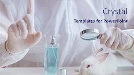  Presentation with rabbit - Audience pleasing slide set consisting of white rabbit in scientific lab experiment backdrop and a sky blue colored foreground