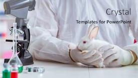  Presentation with rabbit - Beautiful slide deck featuring white-rabbit-in-scientific-lab backdrop and a light blue colored foreground