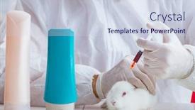 Presentation with scientific - Theme featuring white-rabbit-in-scientific-lab background and a sky blue colored foreground