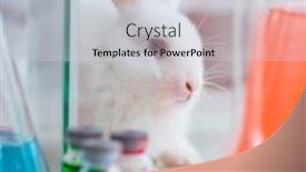  Presentation with scientific - Cool new PPT theme with white-rabbit-in-scientific-lab backdrop and a lemonade colored foreground
