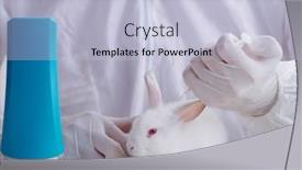  Presentation with scientific - PPT layouts having white-rabbit-in-scientific-lab background and a light blue colored foreground