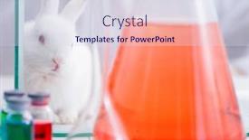  Presentation with scientific - Amazing PPT theme having white-rabbit-in-scientific-lab backdrop and a sky blue colored foreground