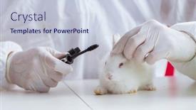  Presentation with scientific - Cool new presentation with white-rabbit-in-scientific-lab backdrop and a lemonade colored foreground