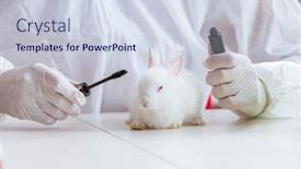  Presentation with rabbit - Slide deck featuring white-rabbit-in-scientific-lab background and a sky blue colored foreground