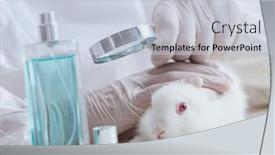  Presentation with scientific - Presentation design consisting of white-rabbit-in-scientific-lab background and a lemonade colored foreground